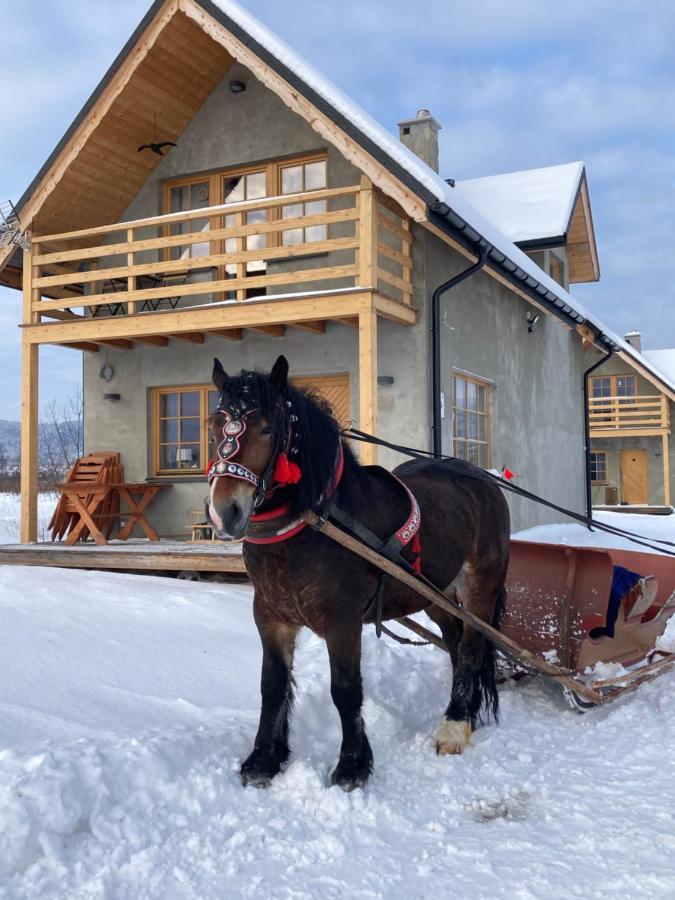 Ciche Pole Holiday home *