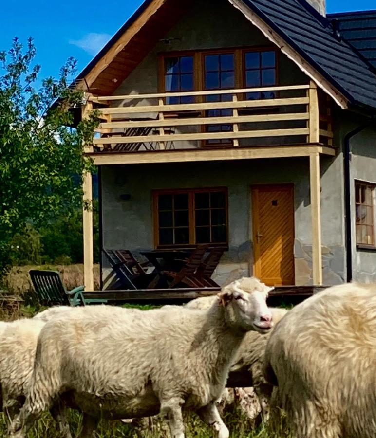 Ciche Pole Holiday home Maniowy