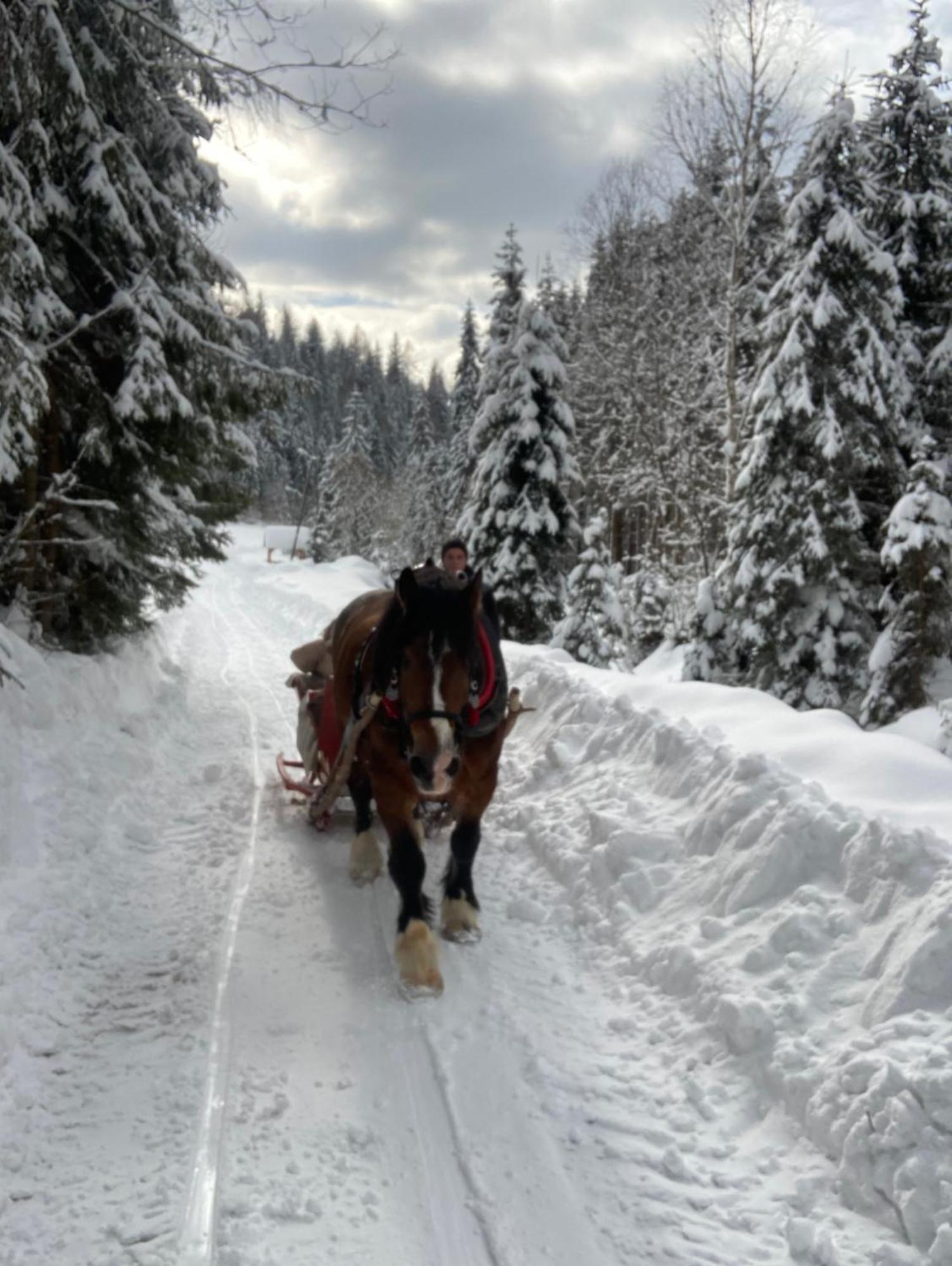 Holiday home Ciche Pole